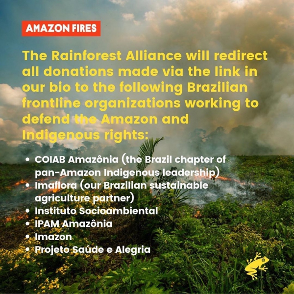 August, 23
🚨Amazon S.O.S.🚨THANK YOU to everyone who donated in response to our post yesterday—and to all who have helped raise awareness by sharing our post. We have committed to redirect 100% of these donations to the following frontline groups working to defend the Brazilian Amazon: @coiabamazonia (Brazil chapter of our valued partner COICA, the federation of Amazon Indigenous leaders), @imaflorabrasil (our longtime sustainable agriculture partner), and @socioambiental @ipam_amazonia @imazonoficiel @saudeealegria 
