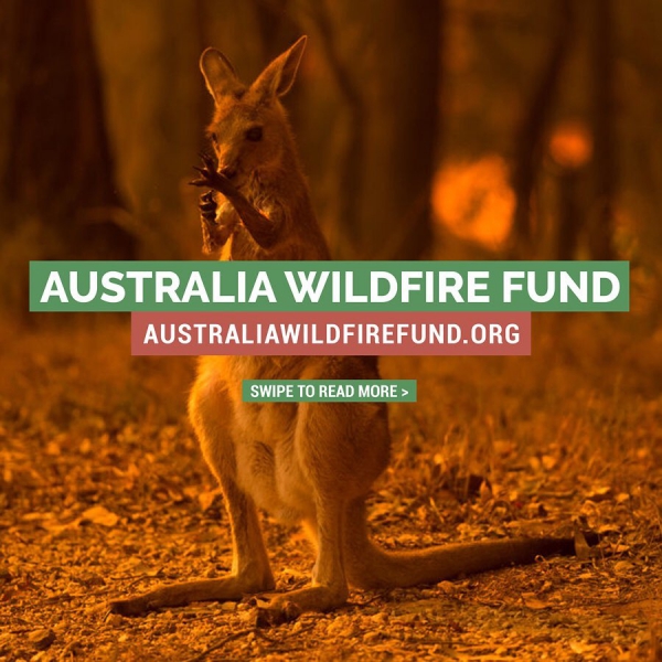 January, 10
Earth Alliance, created in 2019 by @LeonardoDiCaprio, Laurene Powell Jobs, and Brian Sheth, has launched the #AustraliaWildfireFund, a $3 million commitment to assist critical firefighting efforts in New South Wales, aid local communities most affected by the wildfires, enable wildlife rescue and recovery, and support the long term restoration of unique ecosystems, with partners @aussieark @bushheritageaus @wireswildliferescue @emersoncollective @global_wildlife_conservation. Join us in supporting these cri
